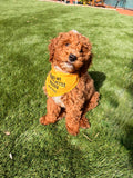 Dog Bandana